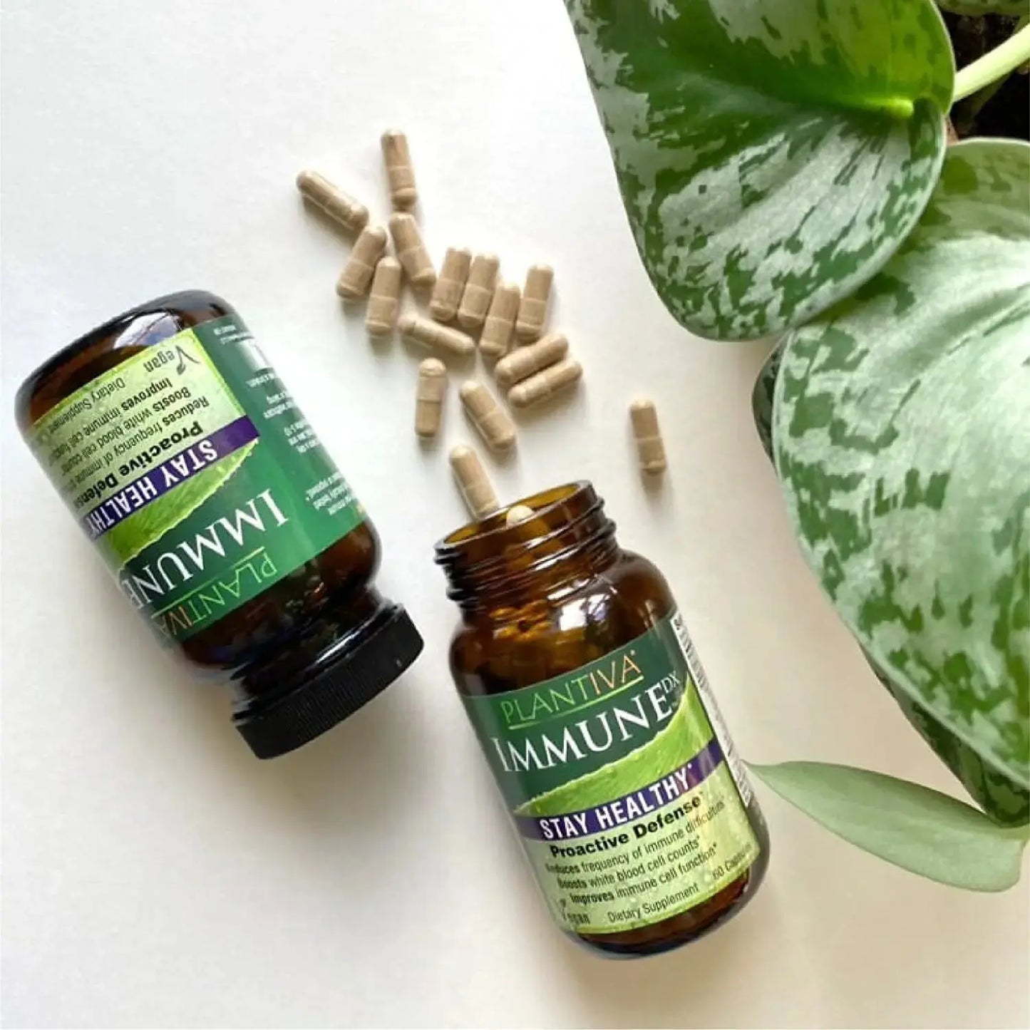 Two bottles of Plantiva ImmuneDx on a white surface with green leaves.