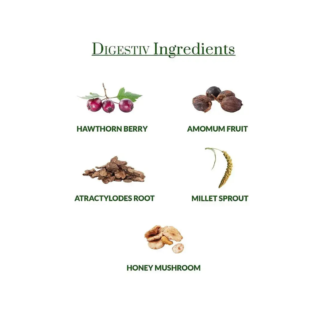 List of Digestiv ingredients with corresponding images and names on a white background