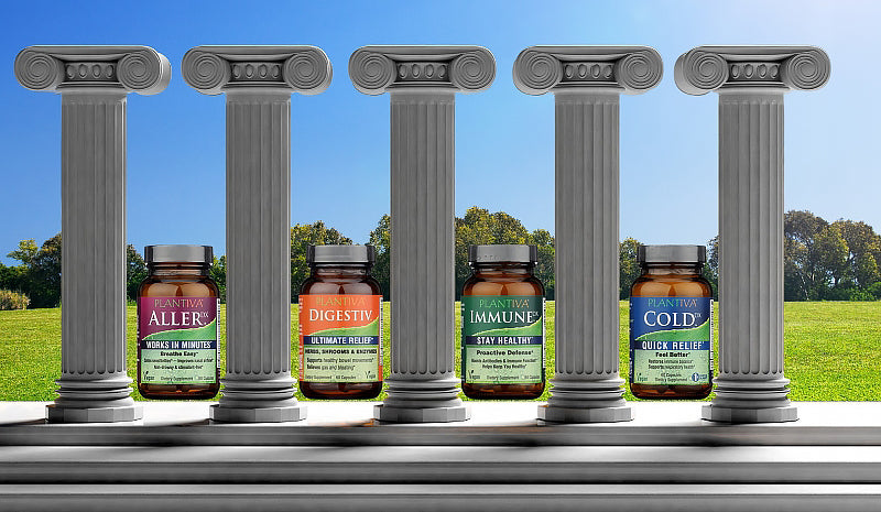 Image Title Alt Image