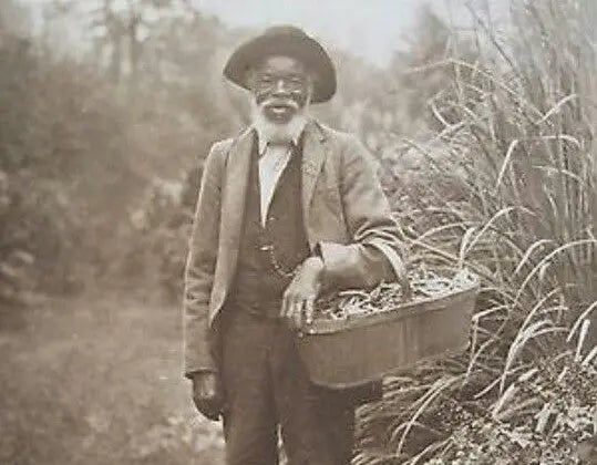 Doctor Caesar: A Remarkable Black Herbalist of the 1700s