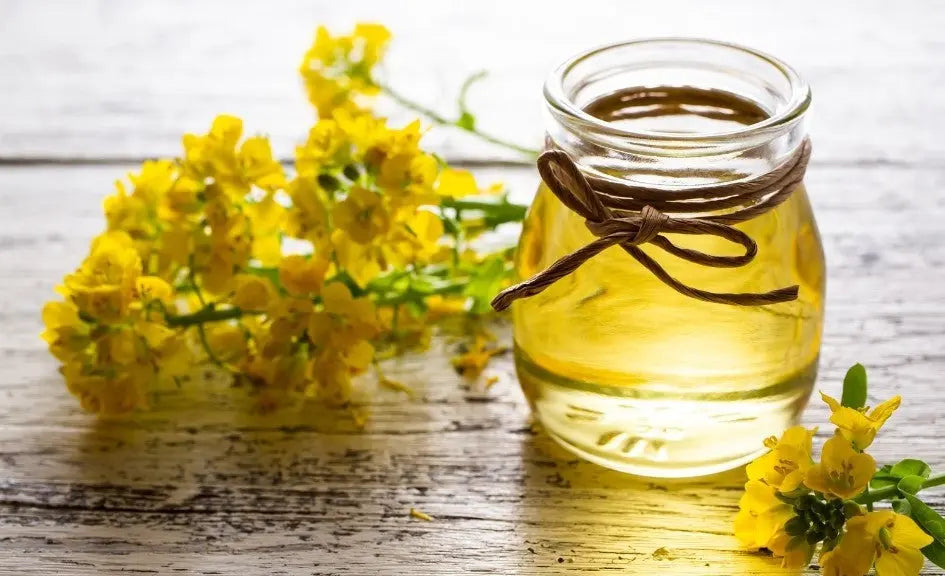 Canola Oil: Angel or Devil?