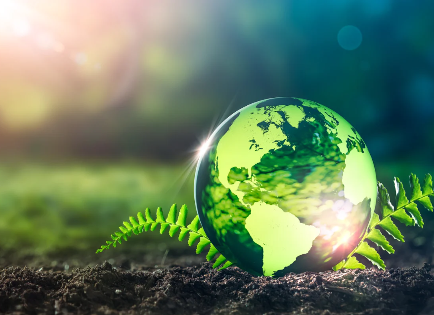 A green glass marble is etched with the earth’s continents in pale green. It sits on a fern at the front of an expanse of grass. Bright sunlight shines on and through the sphere.