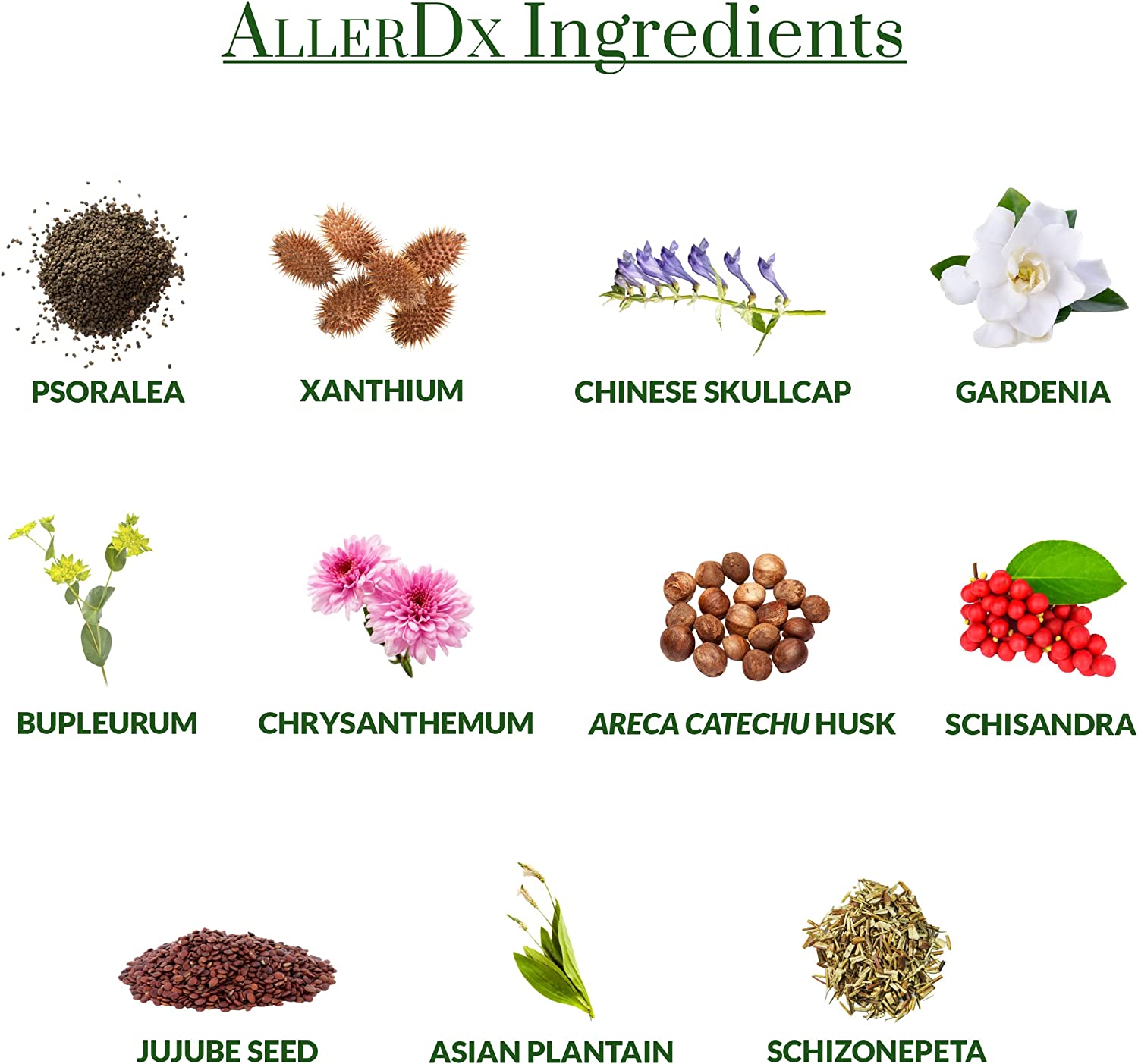 AllerDx 4-Capsule Packet, Vegan