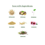 ImmuneDx ingredients including Astragalus, Stephania, Epimedium, Eleuthero, Ginseng, Echinacea, and Dong Quai on a white background.