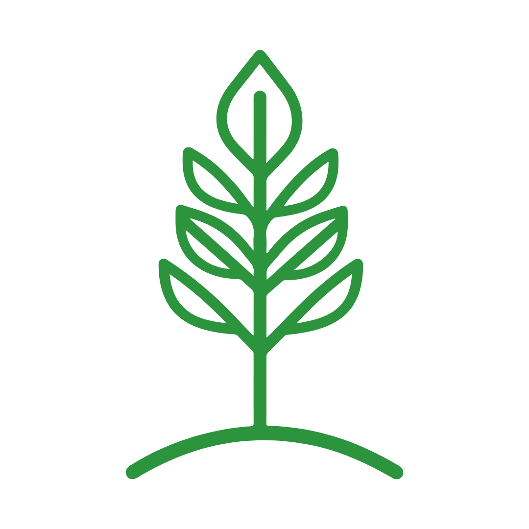 Plant growing from ground