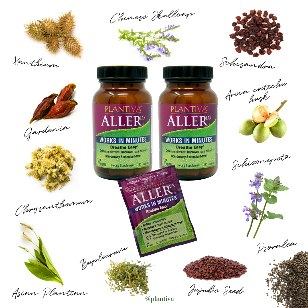 AllerDx Bundle
